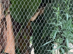 Griglia di corda in acciaio inossidabile Griglia di filo metallico Ferrule Griglia zoologica Struttura di griglia a forma di diamante