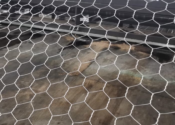 Protezione del corso del fiume Cesti di gabion metallici con una durata superiore a 10 anni