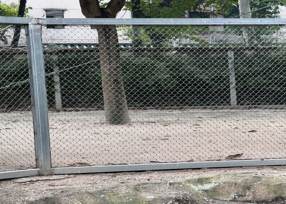 Fortezza elevata 2mm di diametro rete di filo di corda per zoo animali di sicurezza recinti
