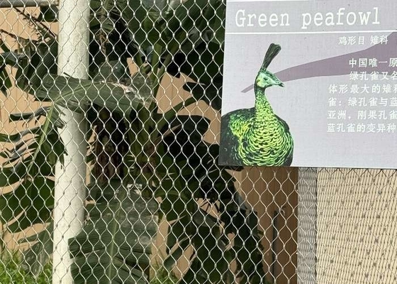 Romboide foro zoo rete di corda in acciaio inossidabile Ferroled flessibile per recinti per animali