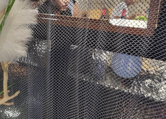Cavo decorativo flessibile Mesh Curtain dei drappi 2mm per la decorazione dell'hotel