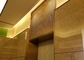 Cavo dorato Mesh For Elevators Hall Lobby dell'ornamentale degli ss 304