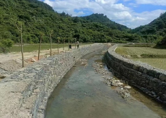 Gabion Mesh (6cm x 8cm) Perfetto per il giardinaggio e l'arredamento paesaggistico, galvanizzato a caldo
