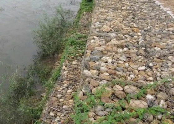 Diametro di cavo della scatola 2.8mm di Gray Pvc Coated Hexagonal Gabion