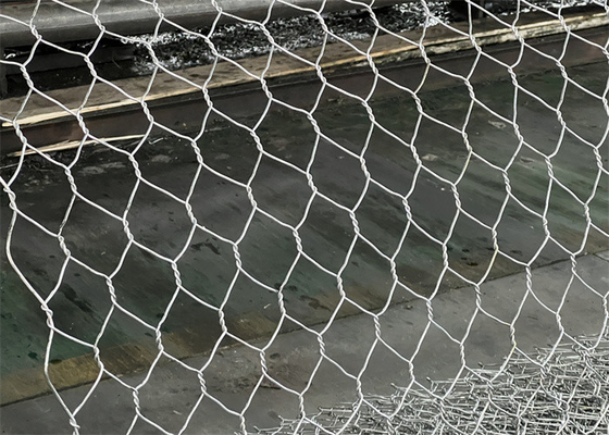 Scatole di gabbia con maglie di acciaio galvanizzato rivestite in PVC