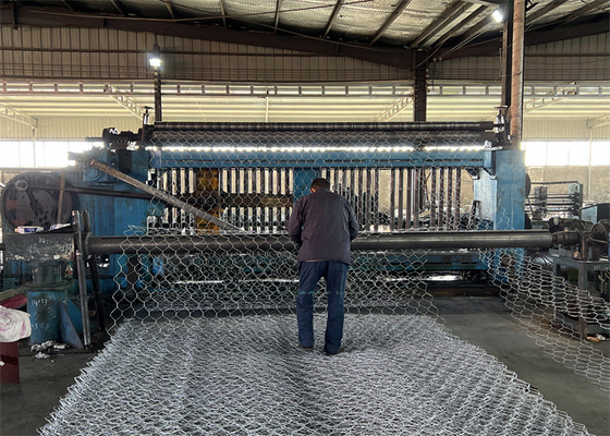 Scatole di gabbia con maglie di acciaio galvanizzato rivestite in PVC
