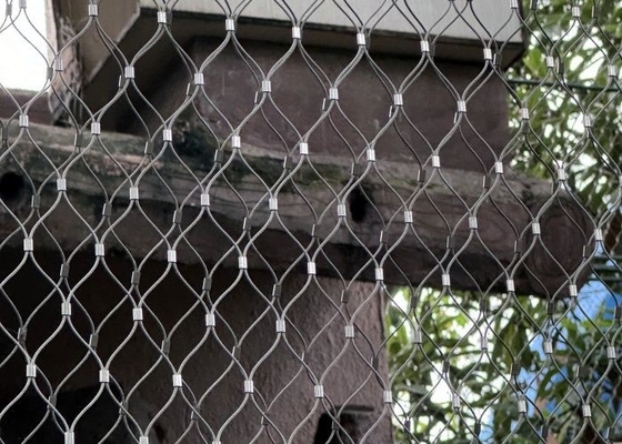 Romboid Hole Rockfall Prevention Netting con collegamento ferruled per lo zoo