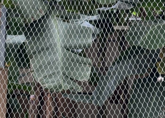 Romboide foro zoo rete di corda in acciaio inossidabile Ferroled flessibile per recinti per animali