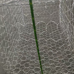 Griglia galvanizzata di filo di gabione esagonale rivestita in PVC per la stabilizzazione della pendenza
