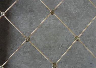 Protezione flessibile galvanizzata di Rockfall della immersione calda che cattura con la rete forma rivestita del foro del diamante del PVC