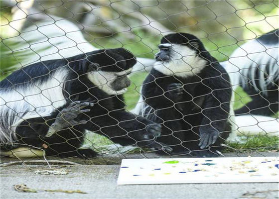 Rete di corda in acciaio inossidabile 304 ️ Maglia di cavi durevole per uccelli e piante, ideale per l'allevamento di pollame, sicurezza nei giardini e campi da calcio